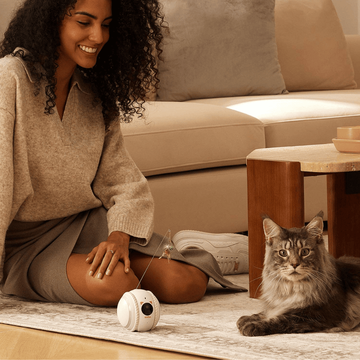 Curatepet Smart App Control Petpal Robot with Camera for Cats | Kanu Pet