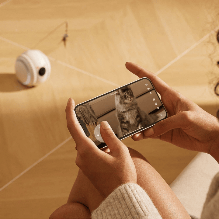 Curatepet Smart App Control Petpal Robot with Camera for Cats | Kanu Pet