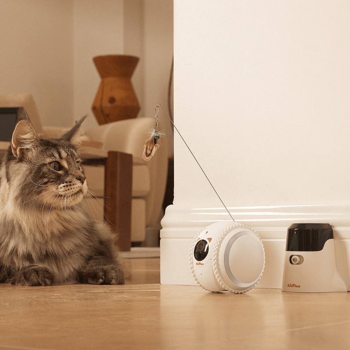 Curatepet Smart App Control Petpal Robot with Camera for Cats | Kanu Pet