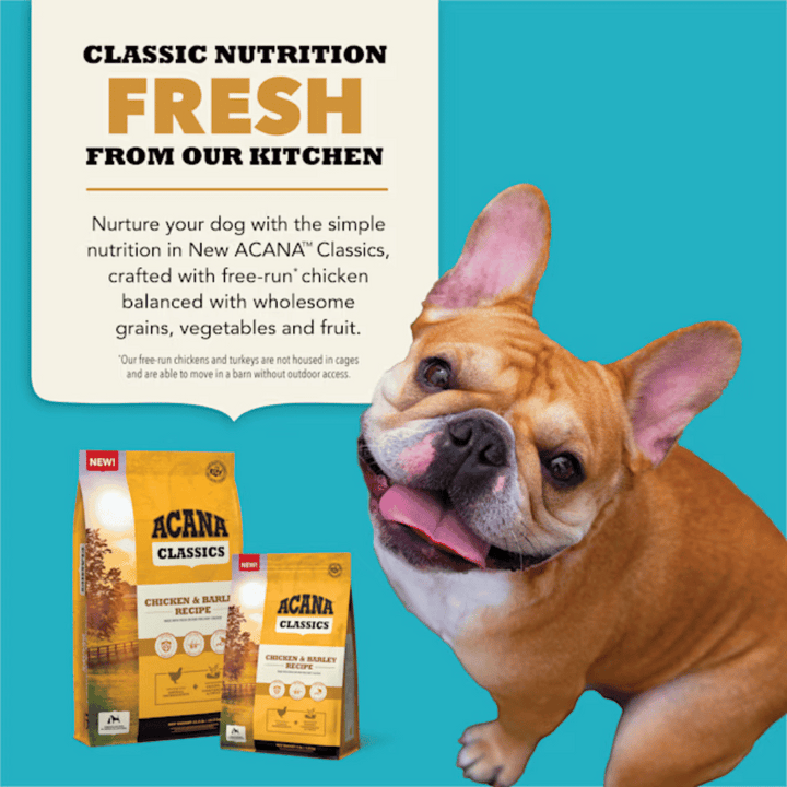 Acana Class Chicken Barl Dry Dog Food | Kanu Pet