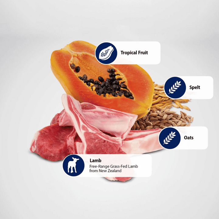 Farmina N&D Tropical Selection Pork Adult Med/Max Dry Dog Food | Kanu Pet