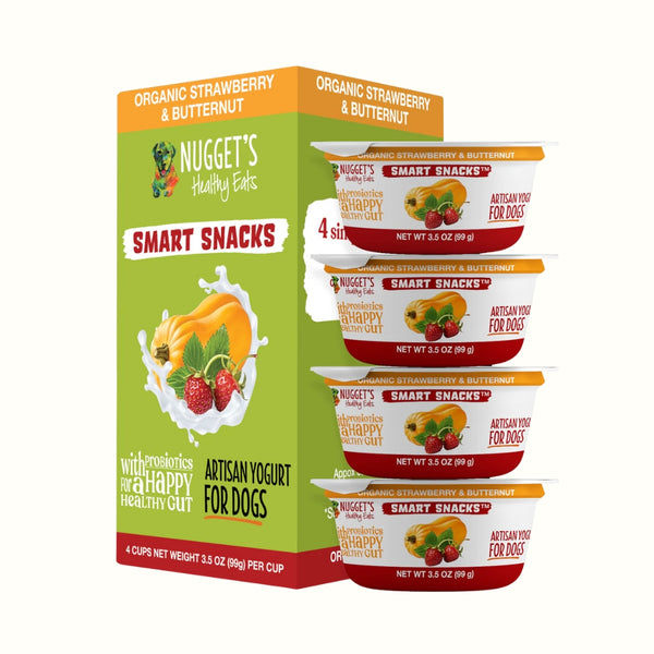 Nugget's Healthy Eats - Dog Artisan Yogurt with Strawberries (One 3.5 oz cup)