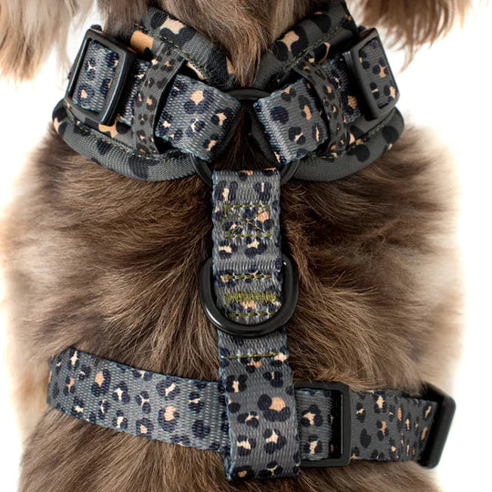 Pablo & Co. Boutique Khaki Leopard Adjustable Dog Harness | Kanu Pet