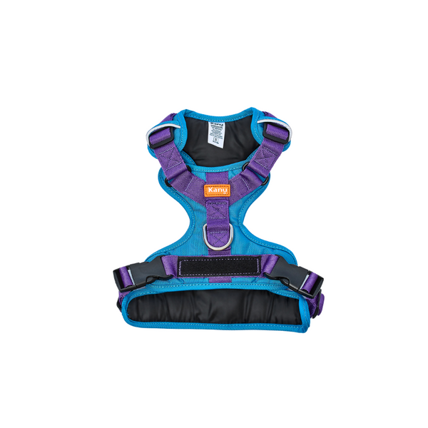 Kanu Pet Walker Blue/Purple Dog Harness