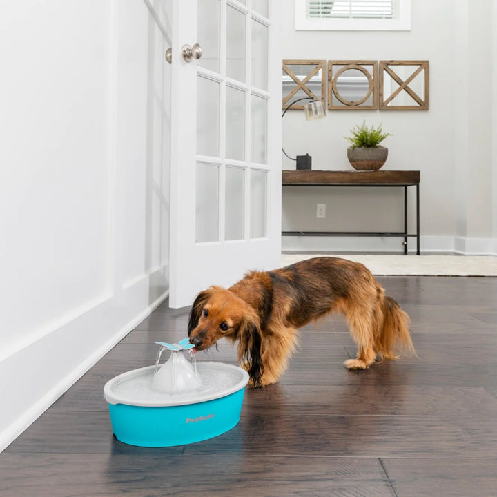 PetSafe Water Fountain Drinkwell Butterfly for Dogs & Cats | Kanu Pet