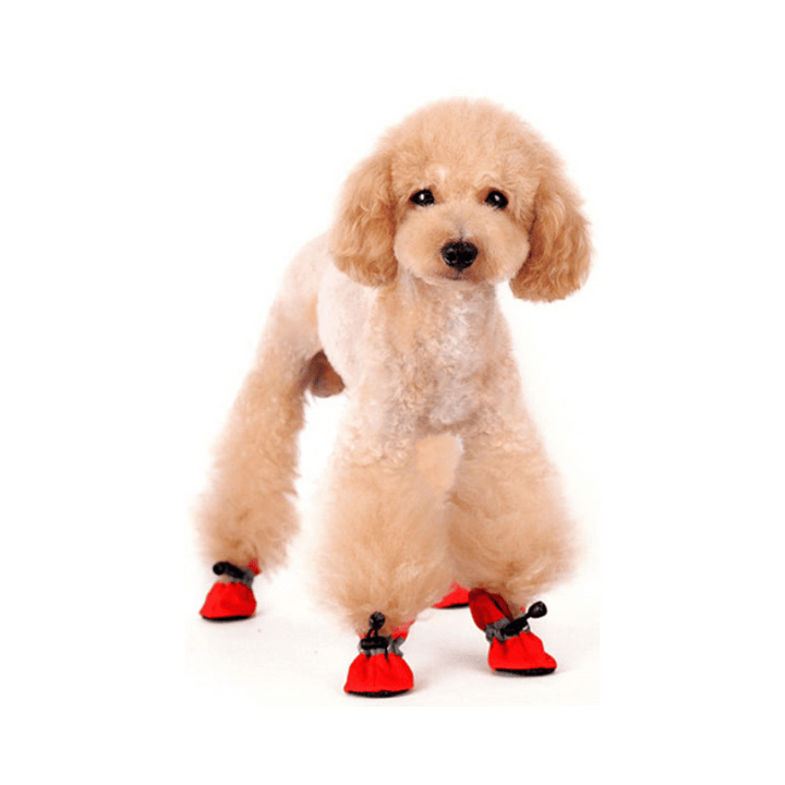 Dogo Pet Slip-ON Paws Red Dog Shoes | Kanu Pet