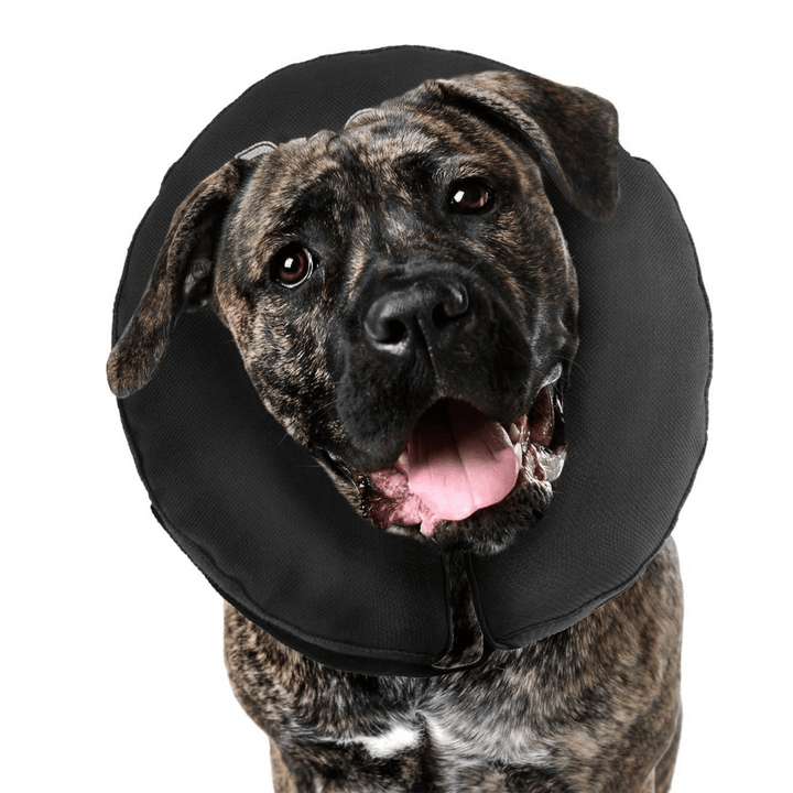 ZenPet ZenCollar Inflatable Recovery Dog & Cat Collar XXL | Kanu Pet
