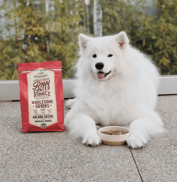 Stella & Chewy's Wholesome Grain Raw Coated Dog Food | Kanu Pet