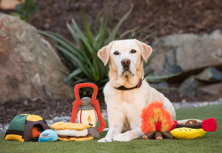 P.L.A.Y.’s Plush Camp Corbin Trailblazing Tent Dog Toy | Kanu Pets