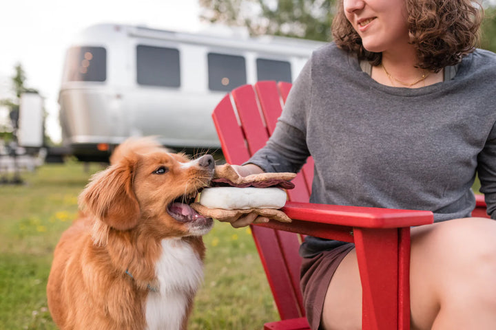 P.L.A.Y  Plush Camp Gimme S'more Dog Toy | Kanu Pets