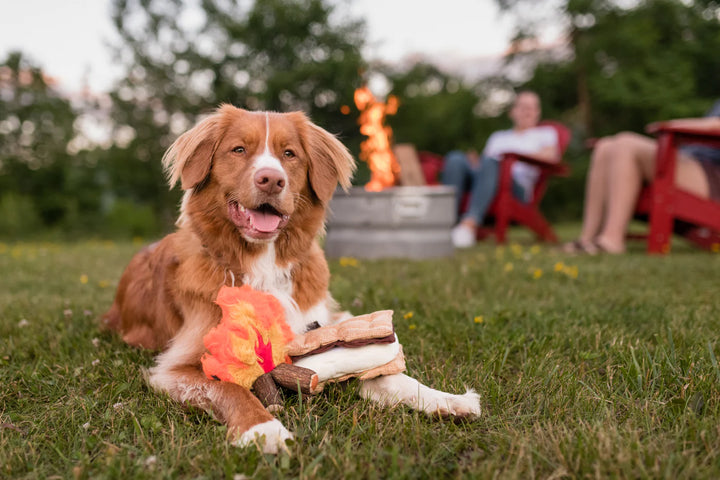 P.L.A.Y  Plush Camp Gimme S'more Dog Toy | Kanu Pets