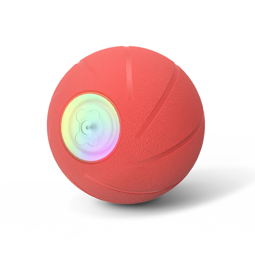 Curatepet Smart Wicked Ball PE Dog Toy | Kanu Pet