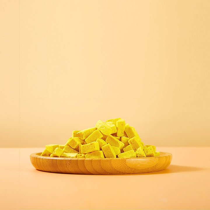 Arya Sit Freeze-Dried Pumpkin Yogurt | Kanu Pet