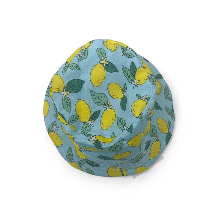 Dogo Pet Bucket Lemon Blue Doh Hat | Kanu Pet