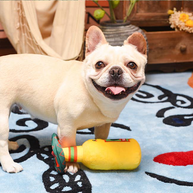 HugSmart Fiesta Chewsday - Tequila Plush Dog Toy | Kanu Pet