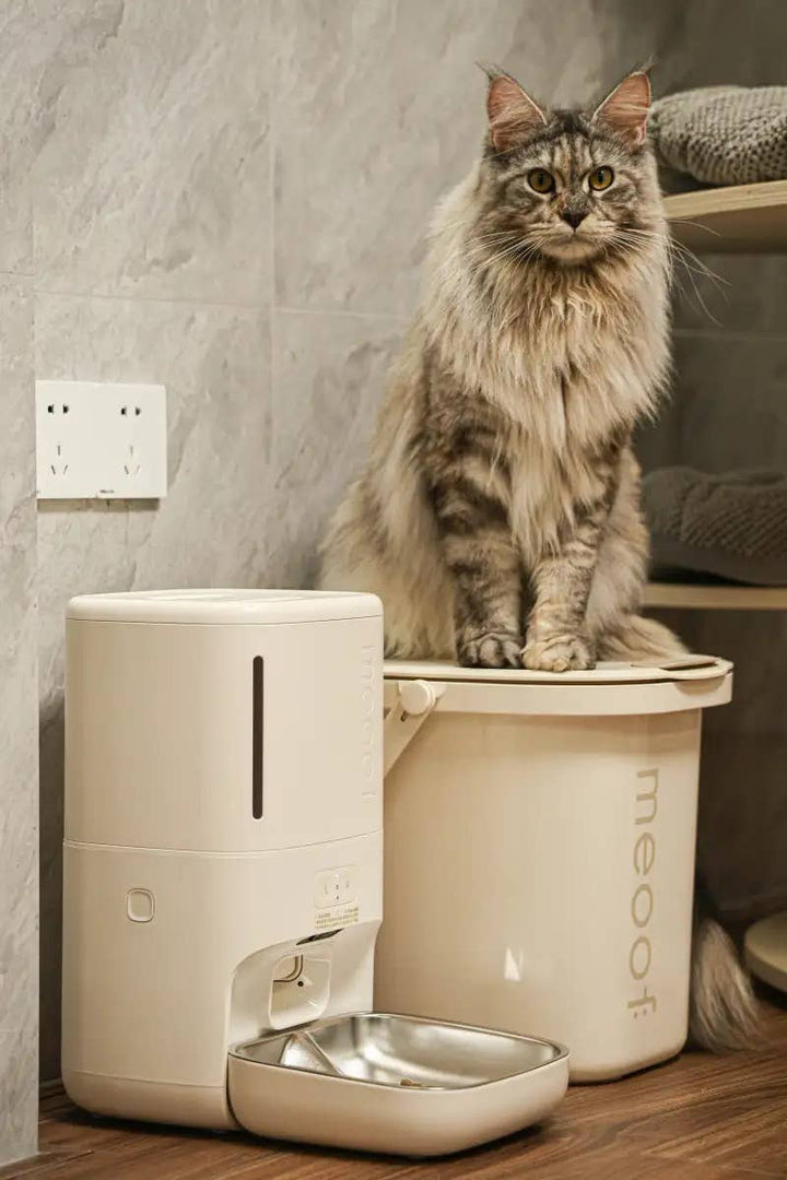 Curatepet Smart Feeder With Camera for Dogs & Cats | Kanu Pet