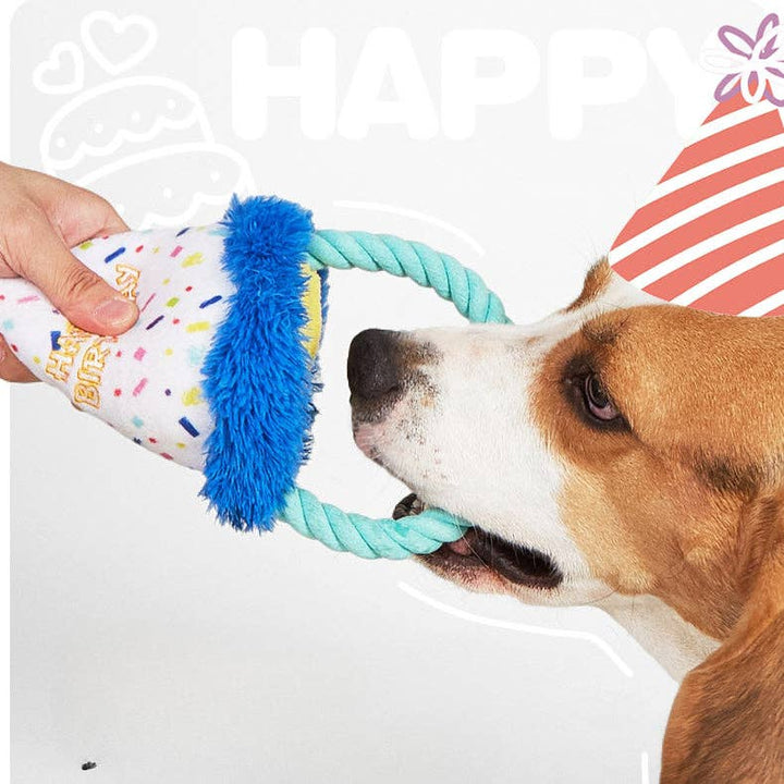 Cheerhunting Petkin Birthday Party Themed Hat-Dog Toy | Kanu Pet