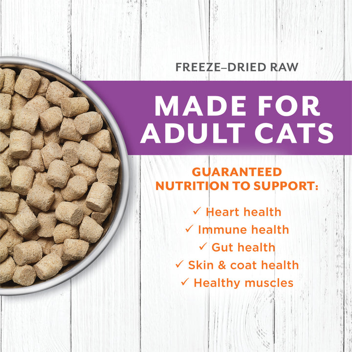 Instinct Raw Longevity Frozen Bites Rabbit Cat Food| Kanu Pet