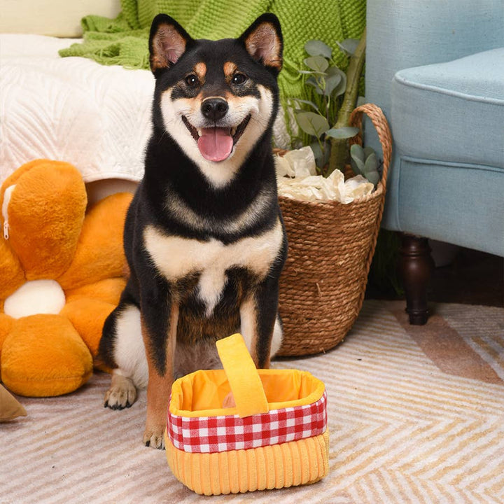 HugSmart Pet Picnic Time - Picnic Basket Interactive Dog Toy | Kanu Pet