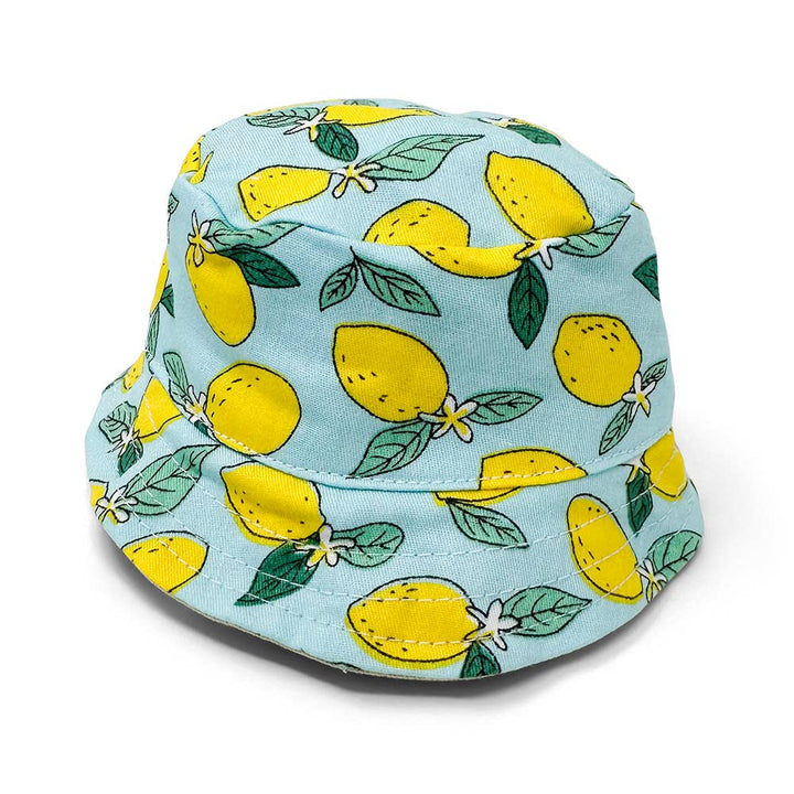 Dogo Pet Bucket Lemon Blue Doh Hat | Kanu Pet