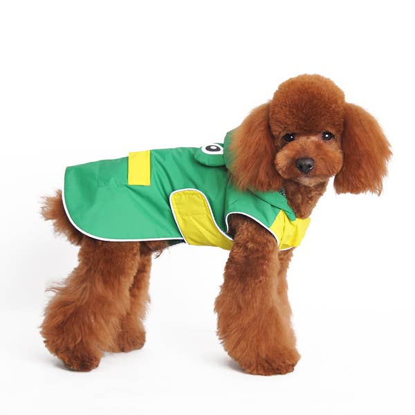 Dogo Pet Frog Dog Raincoat | Shop Online