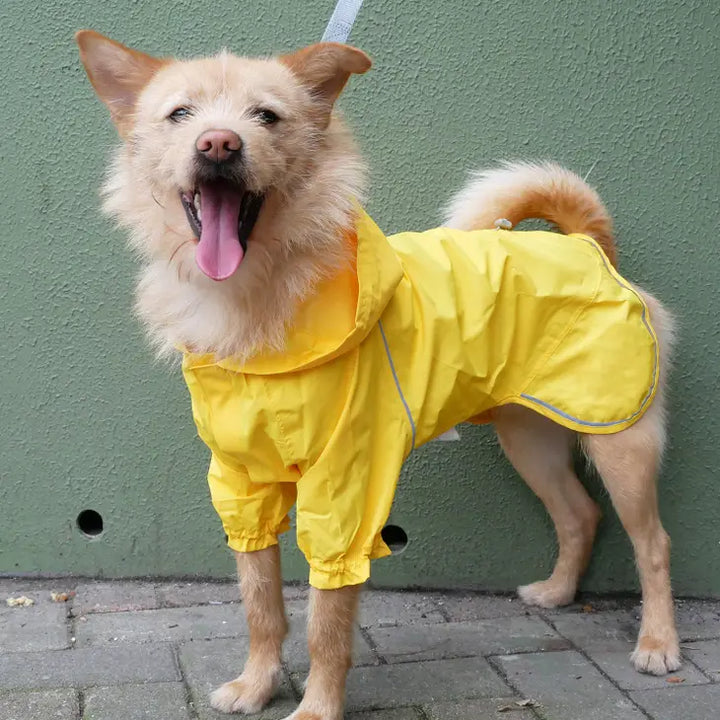 Blueberry Waterproof Reflective Dog Raincoat with 2 Legs | Kanu Pets