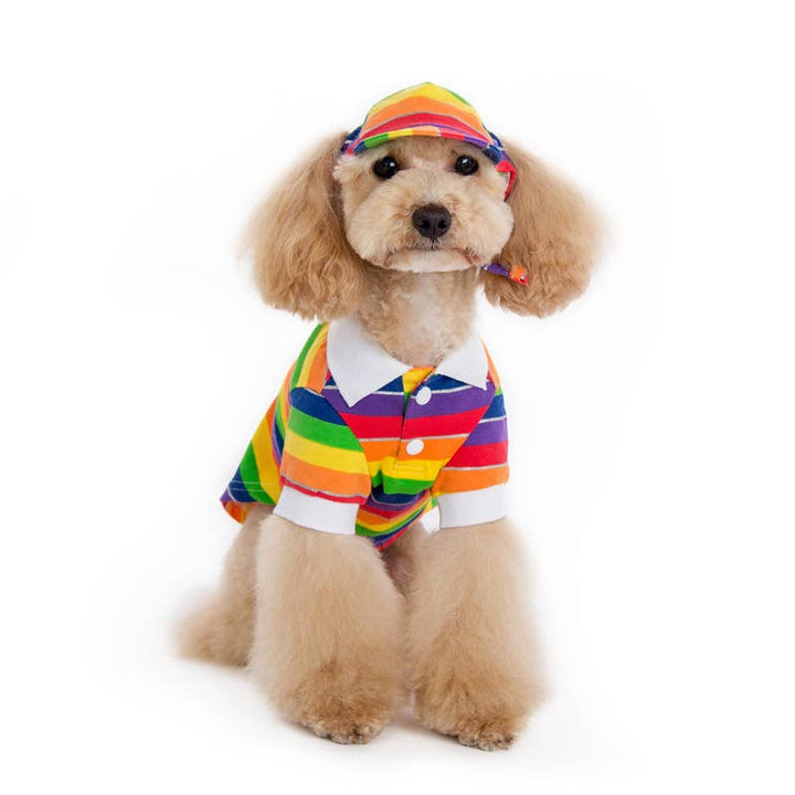 Dogo Pet Rainbow Dog  Hat | Shop Online