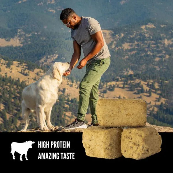 Orijen Ranch Beef Recipe Freeze-Dried Dog Treats | Kanu Pet