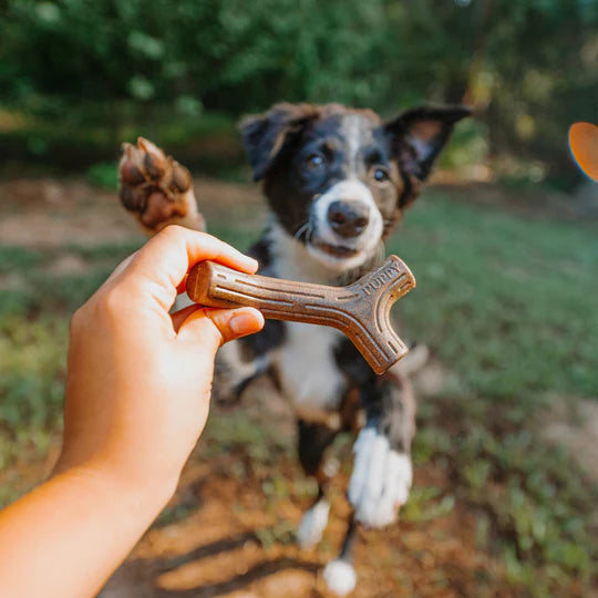 Benebone Maplestick  Dog Chew Toy | Kanu Pet
