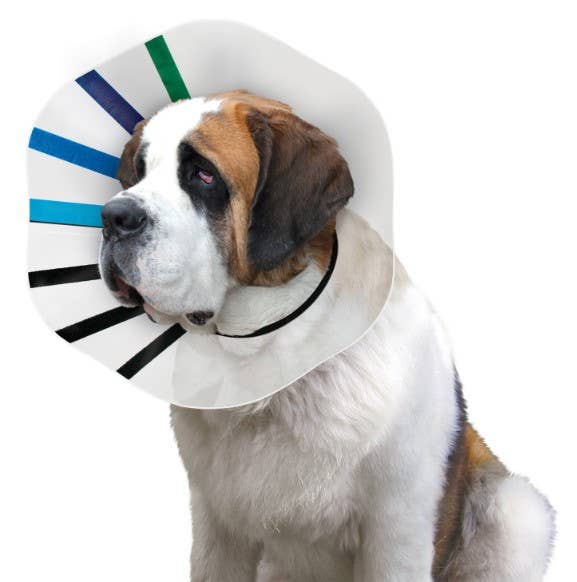 Pet Palette Distribution - KONG® E-Collar EZ Clear™ Large