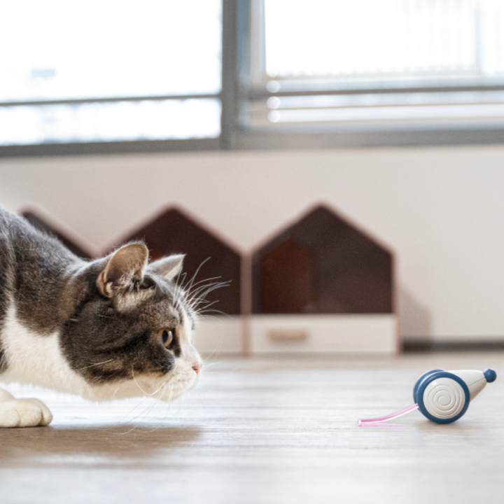 Curatepet Wicked Mouse Plus Interactive Smart Cat Toy | Kanu Pet