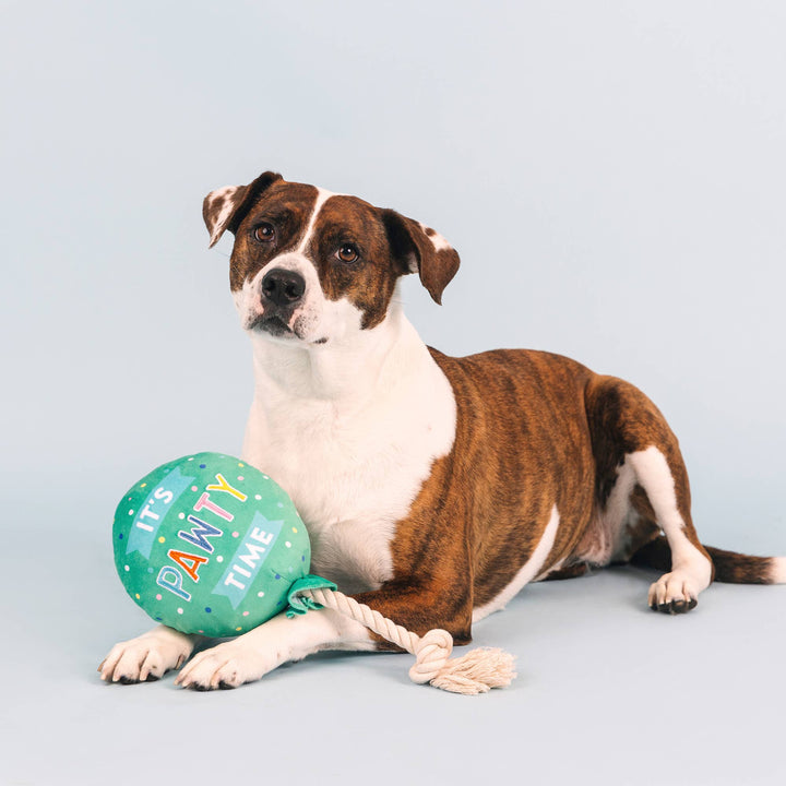 Petshop By Fringe Studio I Pawty, You Pawty Plus Dog Toy | Shop Online