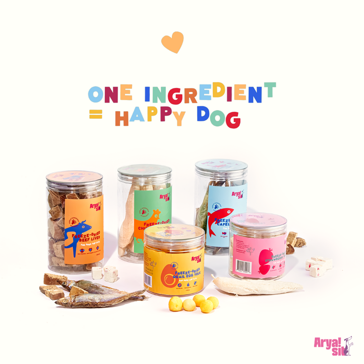 Arya Sit Freeze-Dried Pumpkin Yogurt | Kanu Pet