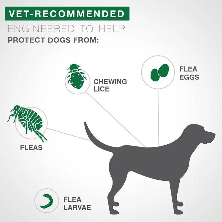 Advantage II for Dog Flea & Tick | Kanu Pet