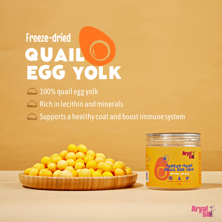 Arya Sit Freeze-Dried Egg Yolk | Kanu Pet