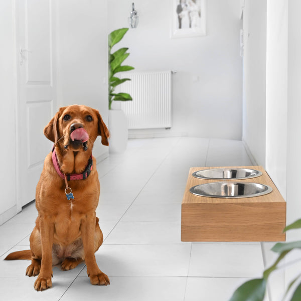 ValiaiDesign - Hanging wooden dog feeder, Mounted pet feeding station