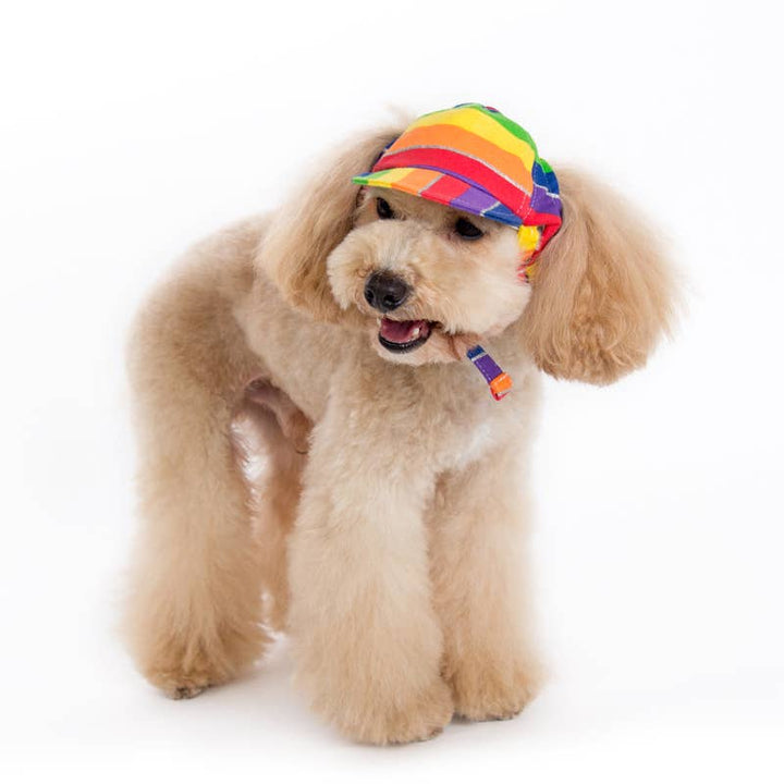 Dogo Pet Rainbow Dog  Hat | Shop Online