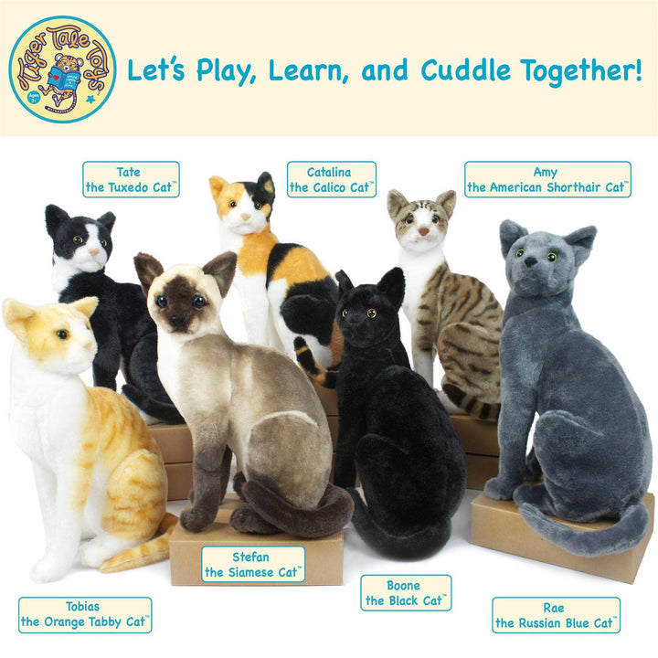 Viahart Toy Co.  Stefan The Siamese Plush Cat | Kanu Pet