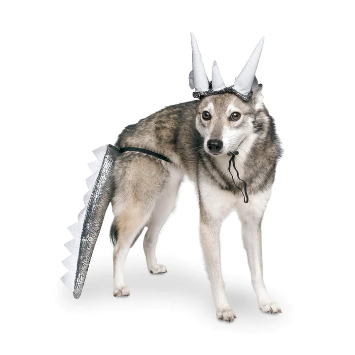 Midlee Designs Dinosaur Headband with Tail Dog Costume | Kanu Pets