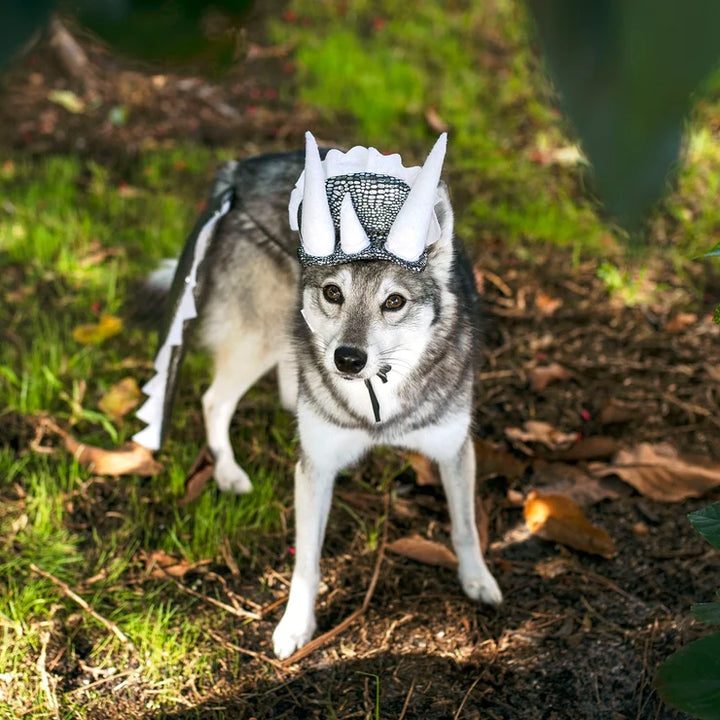 Midlee Designs Dinosaur Headband with Tail Dog Costume | Kanu Pets