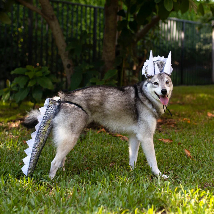 Midlee Designs Dinosaur Headband with Tail Dog Costume | Kanu Pets
