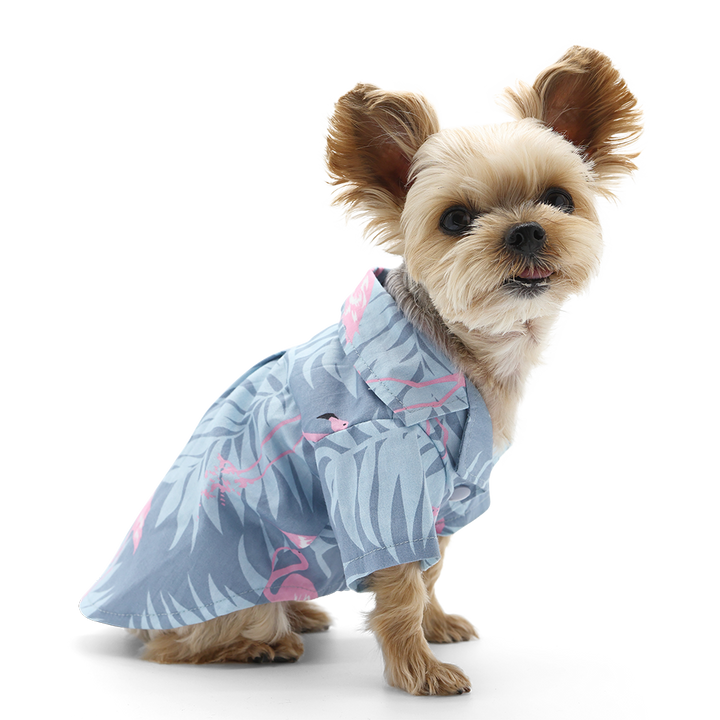 Dogo Pet Flamingo Dog Shirt | Kanu Pet
