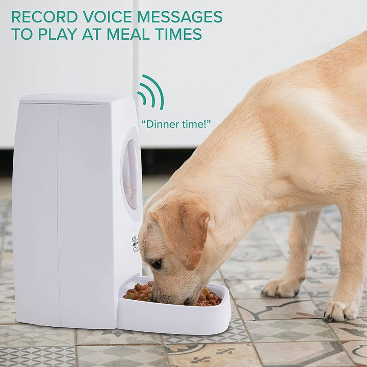 Arf Pets Automatic Feeder with Voice Recorder for Dogs | Kanu Pet