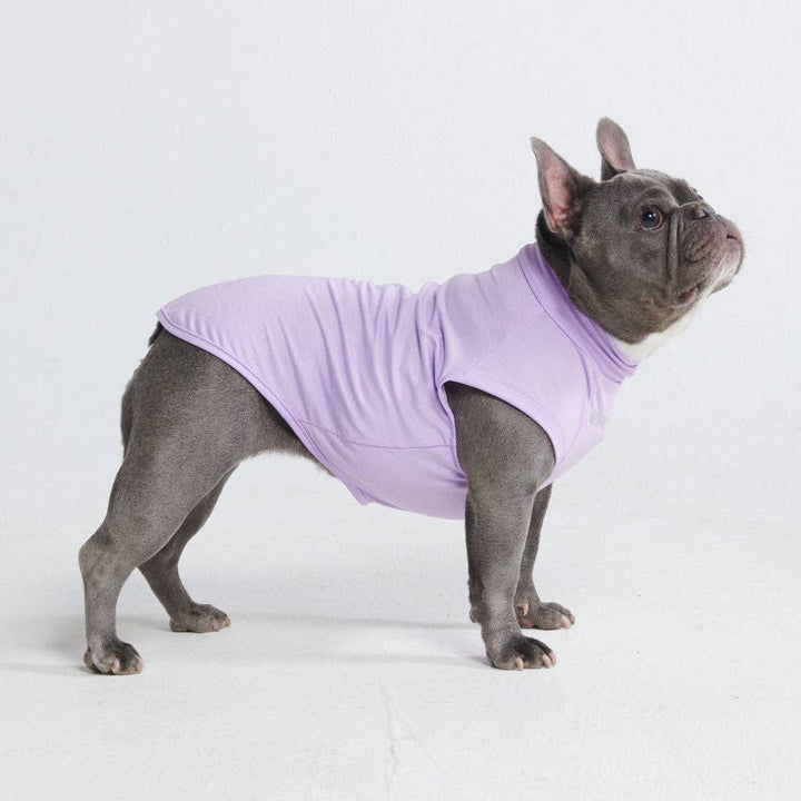 Spark Paws Sunblock Dog Purple T-Shirt | Shop Now