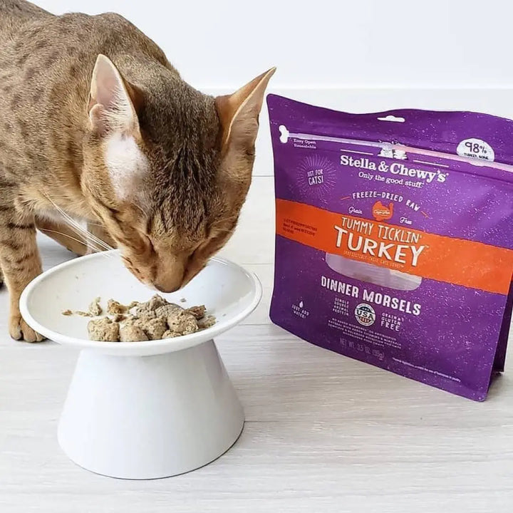 Stella & Chewy's Tummy Ticklin Turkey Cat Food | Kanu Pet