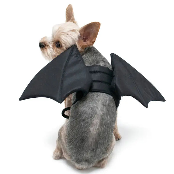 Dogo Pet Bat Wings Dog Costume