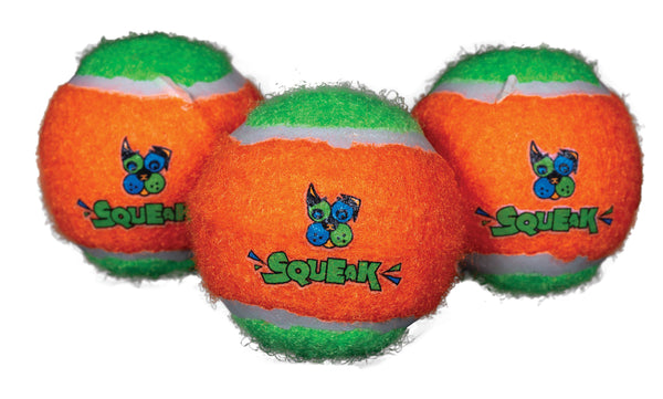 Spunky Pup - Squeaky Tennis Balls