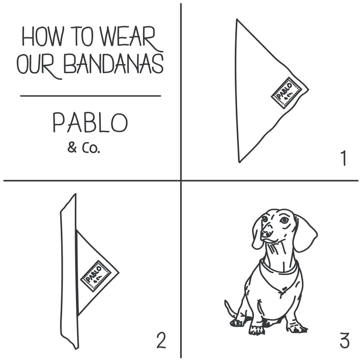 Pablo & Co. Garlic Bread Dog Bandana | Kanu Pet