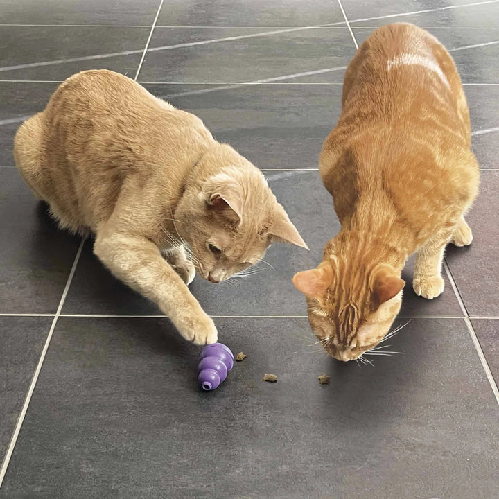 Kong Nibbies Chicken Cat Treats | Kanu Pet
