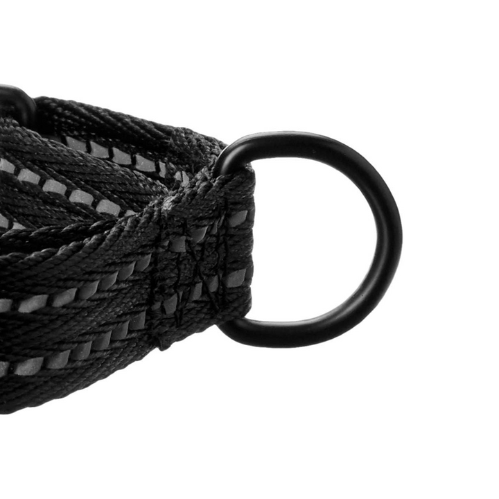 Alcott Martingale Black Dog Collar | Kanu Pet